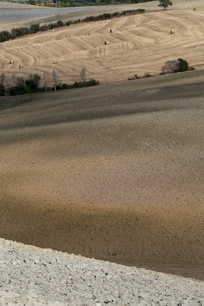 The landscape of the Tuscany. Italy — Stock Photo, Image