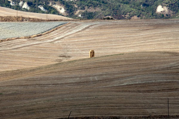 Toskana 'nın manzarası. İtalya