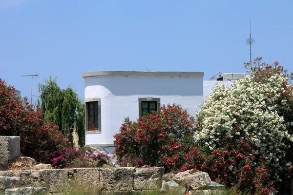 Widok z miasta Kos. Dodekanez — Zdjęcie stockowe