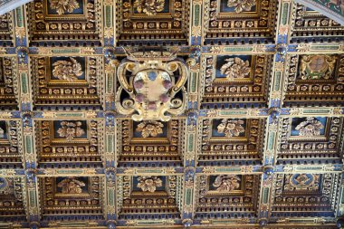 Pisa-güzel katedral içinde tavana süslenmiş