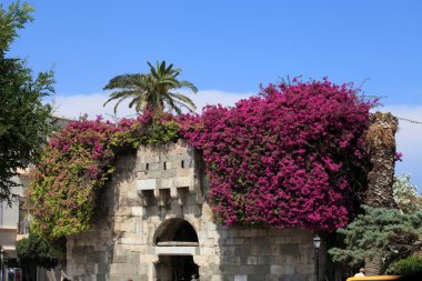 View from the Town of Kos. Dodecanese clipart