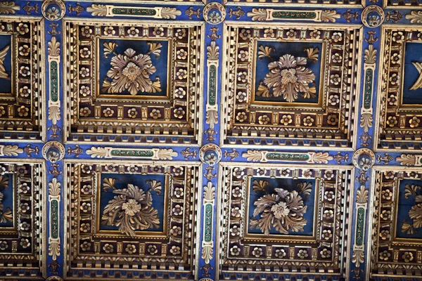 Pisa-beautifully adorned the ceiling inside the Cathedral — Stock Photo, Image