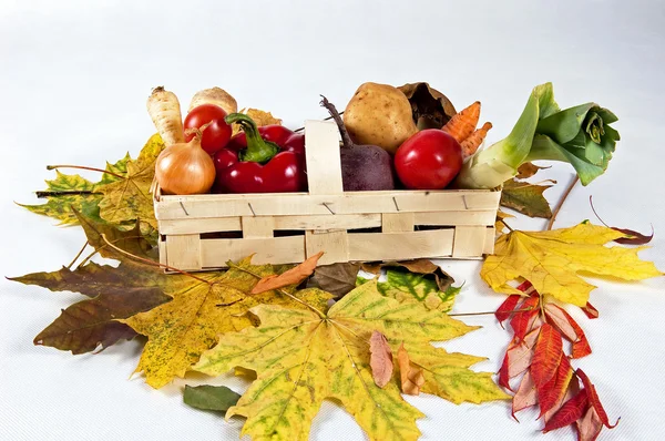 Ramo de verduras de otoño — Foto de Stock