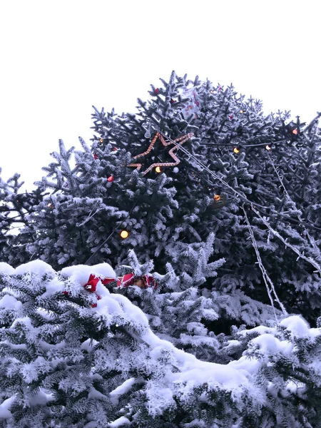 Boże Narodzenie tre? śnieg i ozdoba — Zdjęcie stockowe