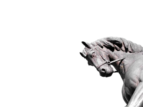 stock image Head of horse statue
