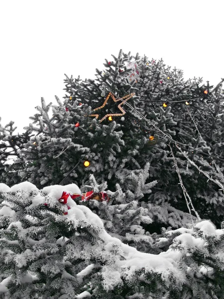 Різдвяна ялинка зі снігом та прикрасою — стокове фото