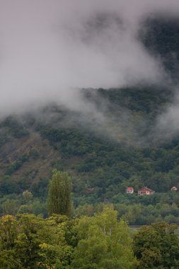 Sisli arazi