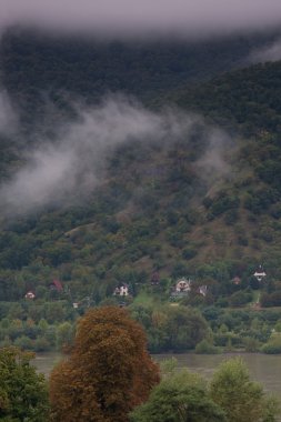 Sisli arazi