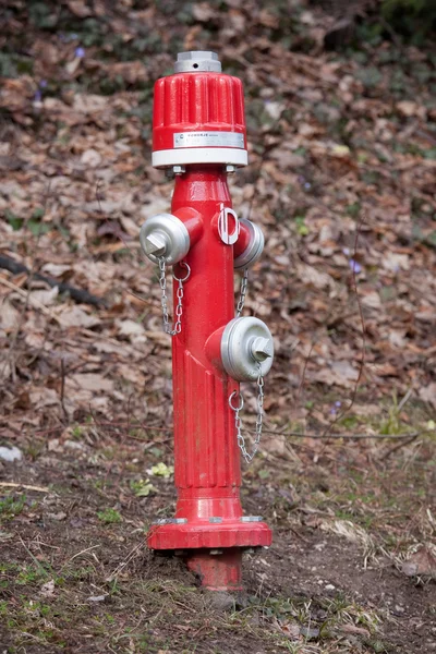 stock image Red fire hydrant