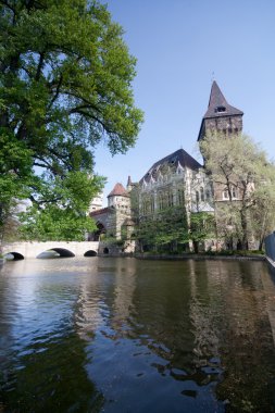 Vajdahunyad castle