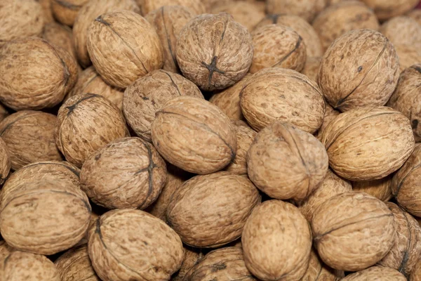 stock image Walnuts