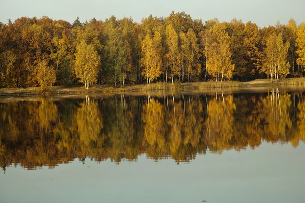 stock image Autumn scenery