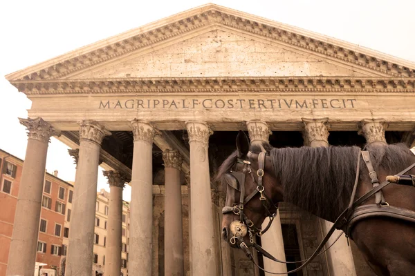 Pferdekutsche und Pantheon — Stockfoto