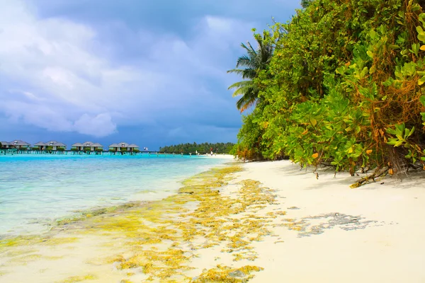 Maledivské pláže — Stock fotografie