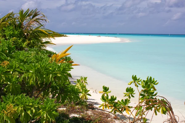 Praia tropical. Oceano Índico — Fotografia de Stock