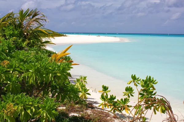 Tropical beach. Indian ocean — Stock Photo, Image