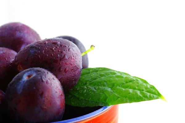 Fresh plums over white background — Stock Photo, Image