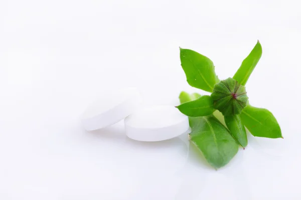 Fehér tabletta, természetes gyógymódok koncepció — Stock Fotó