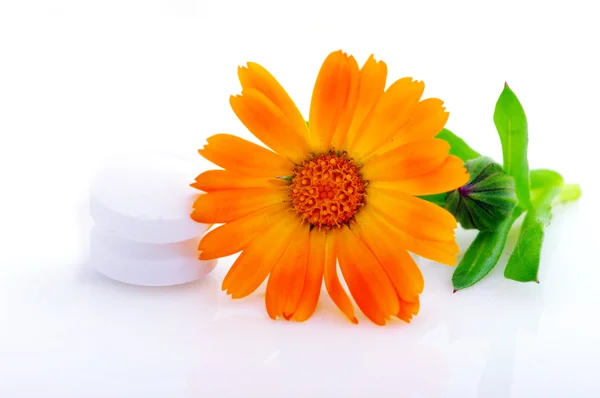 Flor calêndula médica com pílulas sobre fundo branco — Fotografia de Stock