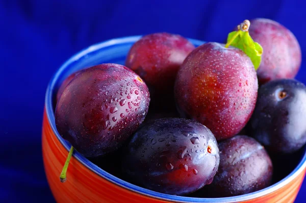 Plums. Fresh ripe washed plums in a ceramic bowl close-up on a b — Stock Photo, Image