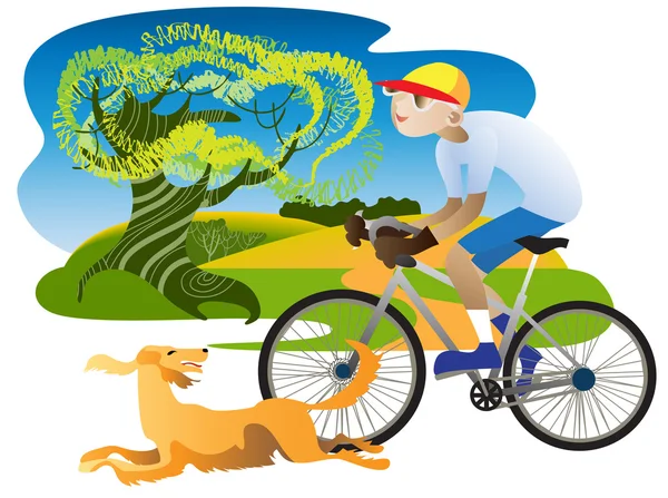 Setter irlandais et cycliste — Image vectorielle