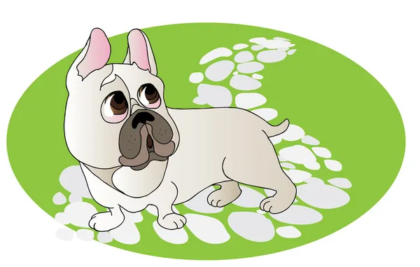 Komische tekening van Franse bulldog — Stockvector