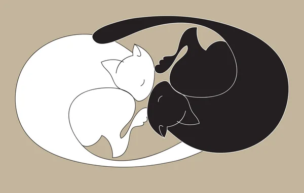 睡猫的黑色和白色 — 图库矢量图片