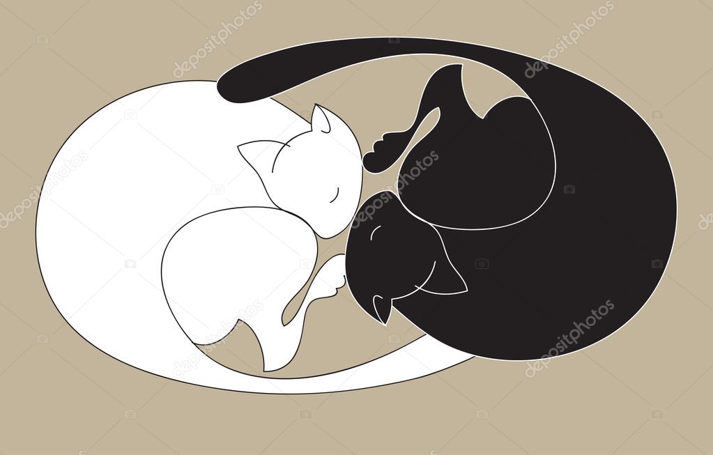 Black and white sleeping cats
