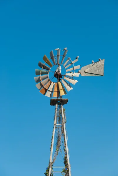 Větrný mlýn čerpadlo — Stock fotografie