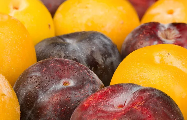 Assorted plums — Stock Photo, Image
