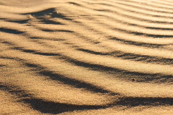 Textura ondulada de la duna — Foto de Stock