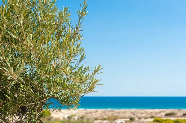 Mediterraner Hintergrund — Stockfoto