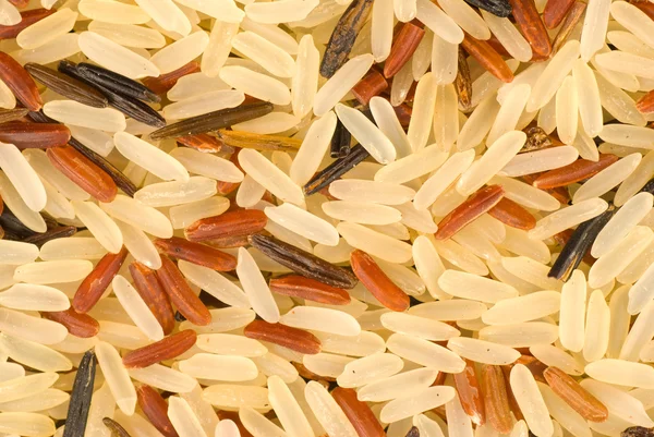 Stock image Assorted rice