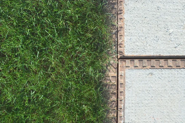 Sewer and Grass — Stock Photo, Image