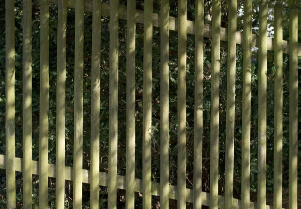 Modello del sole su una recinzione — Foto Stock