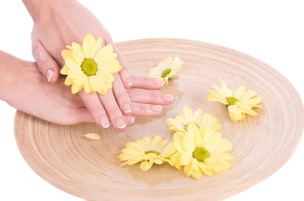 女人的手和鲜花 — 图库照片