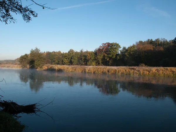 stock image Autumn Landscape