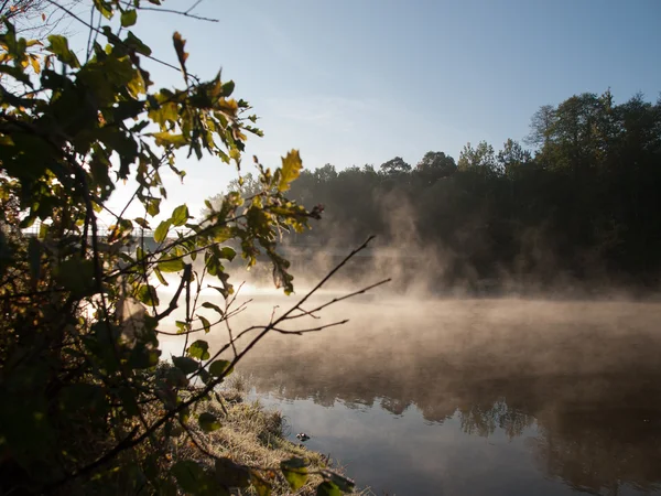 stock image Spala-Poland