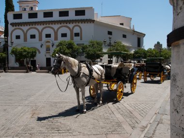 Sevilla-İspanya