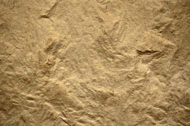 Texture of stone clipart
