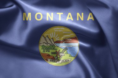 Montana eyaleti