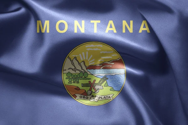 Estado de Montana — Foto de Stock