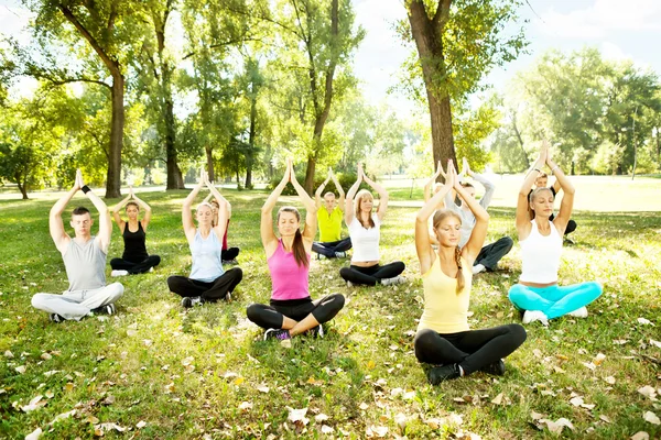 Group of doing yoga outdoor — Stock Photo, Image