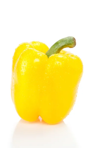 Gele bell paprika — Stockfoto