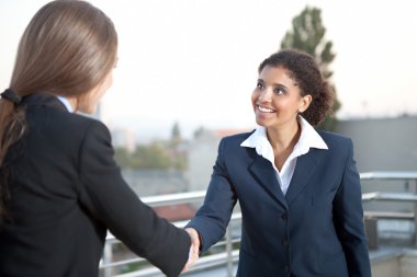 Two businesswomen handshake clipart