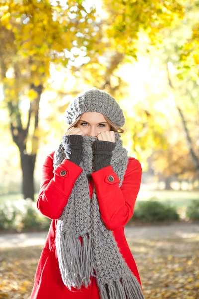 Chica fría con bufanda —  Fotos de Stock