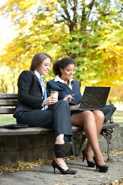 Zwei Geschäftsfrauen arbeiten — Stockfoto