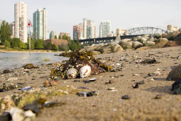 Low Tide на Ваньер Парк Бич в Ванкувере — стоковое фото