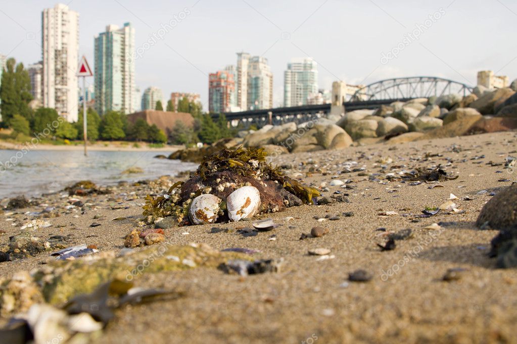 Low Tide at Vanier Park Beach in Vancouver BC