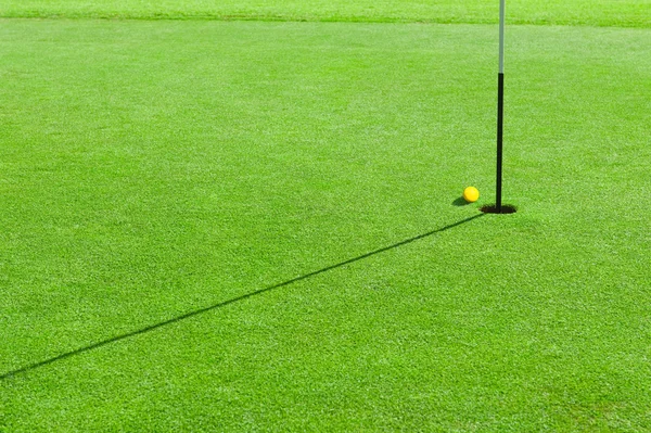 М'яч для гольфу на зеленій траві — стокове фото